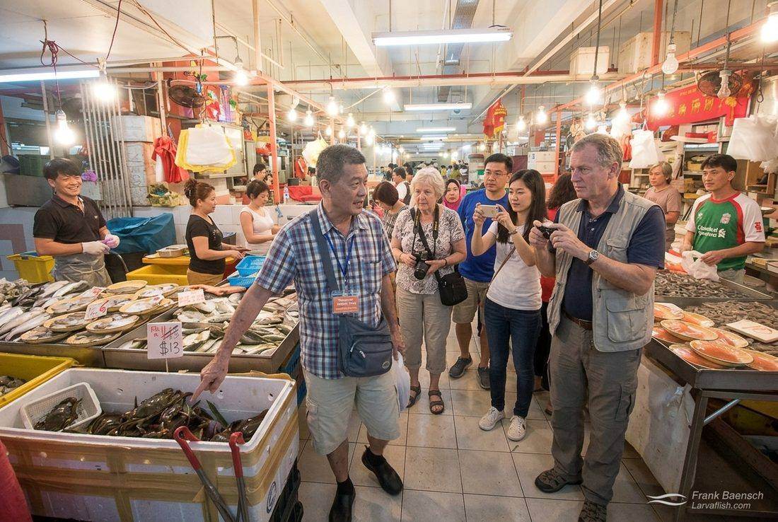 Walking-distance market tour from the studio