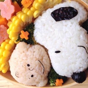 Snoopy and Friends Bento