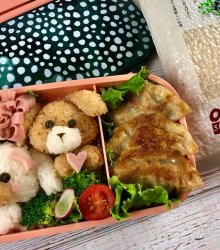 Doggie Bento Made During D'Open Kitchen Cooking Class